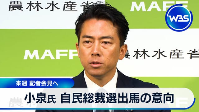 小泉進次郎表達參選意向下週舉行記者會